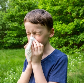 Pollenallergie setzt Schülern zu