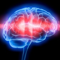 Elektroenzephalografie (EEG)