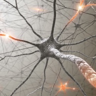 Elektroneurografie (ENG)