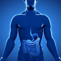 Magen-Darm-Passage (MDP)