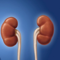 Retograde Urografie (Untersuchung von Harnleiter und Nierenbecken)