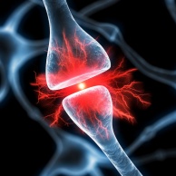Hirnstammaudiometrie und andere Reaktionsaudiometrien