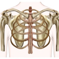 Knochen-Szintigrafie