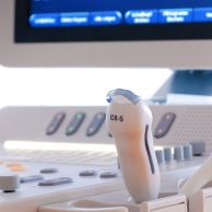 Transrektaler Ultraschall (TRUS)