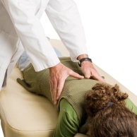 Chiropraktik (Manuelle Therapie)