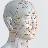 Akupunktur - Anwendung und Wirksamkeit