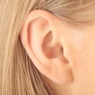 Otoakustische Emission