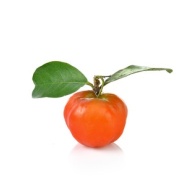 Acerola