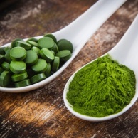 Chlorella