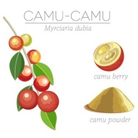Camu-Camu