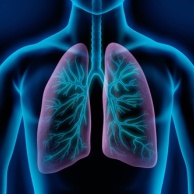 Bronchitis (akut)