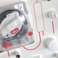 Akutes Nierenversagen (Akute Niereninsuffizienz)