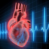 AV-Blockierungen (atrioventrikuläre Überleitungsstörungen)