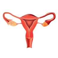 Bakterielle Vaginose