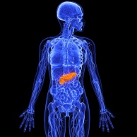 Bauchspeicheldrüsenentzündung (Pankreatitis) bei Kindern