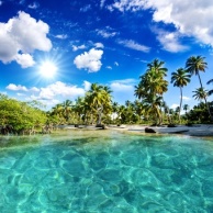 Bilharziose (Schistosomiasis)