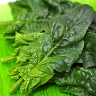 Blutarmut durch Eisenmangel (Eisenmangelanämie)