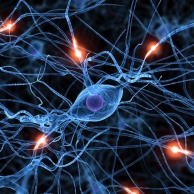 Diabetische Polyneuropathie