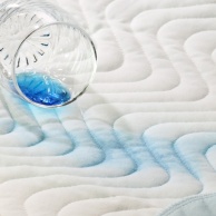 Harnwegsinfektion und Blasenentzündung