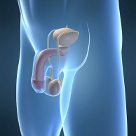 Erworbene Penisverkrümmung