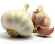 Mit Knoblauch Infekten vorbeugen