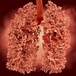 Lungenkrebs bei Rauchern als Berufskrankheit?