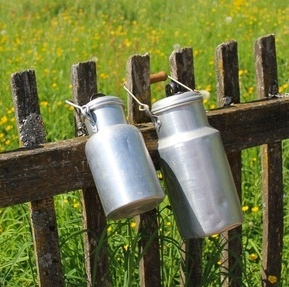 Asthma/Allergien: Rohmilch schützt