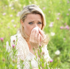 Probiotika lindern Allergiebeschwerden