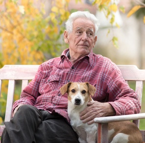 Hunde können Leben verlängern