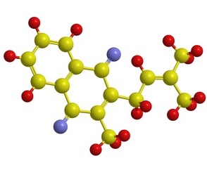 Das vernachlässigte Vitamin K2