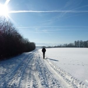 Vitamin-D-Mangel im Winter: So einfach füllen Sie ihren Vitamin-D-Speicher auf